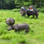 chitwan tour